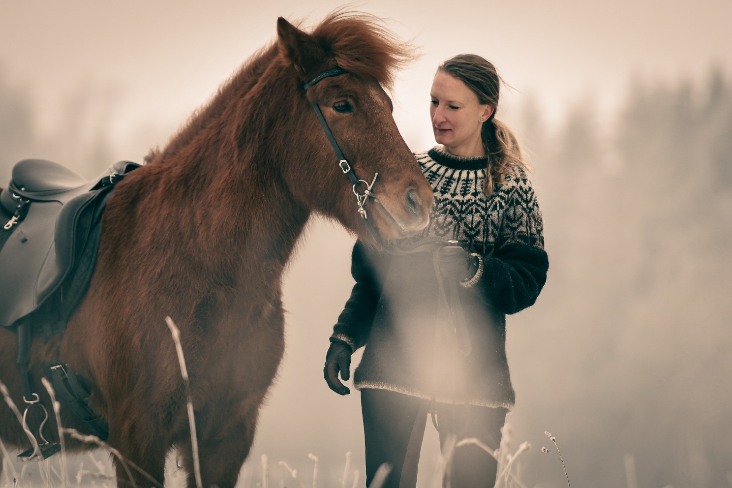 Hjarta à Íslandi