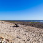 Hjerpsted Strand