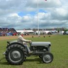 Hjørring/DK ; Landwirtschaftsausstellung,Oldtimershow-Ferguson TE20 -31 PS ;Bj.1954.