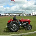 Hjørring/DK ;Landwirtschaftsausstellung;Oldtimershow Massay-Ferguson 35x;Bj.1959