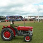 Hjørring/DK;Landwirtschaftsschau ;Oldtimershow,Massey-Ferguson MF135-58PS-Bj.1968.