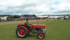 Hjørring/DK;Landwirtschaftsschau ;Oldtimershow,Massey-Ferguson MF135-58PS-Bj.1968.