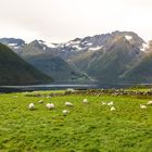 Hjørundfjord