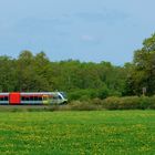 HLB im Herzen der Natur