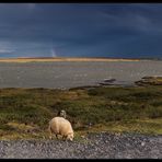 Hlíðarvatn