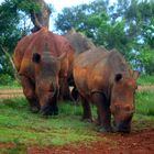 Hluhluwe Nationalpark