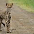 Hluhluwe NP South Africa