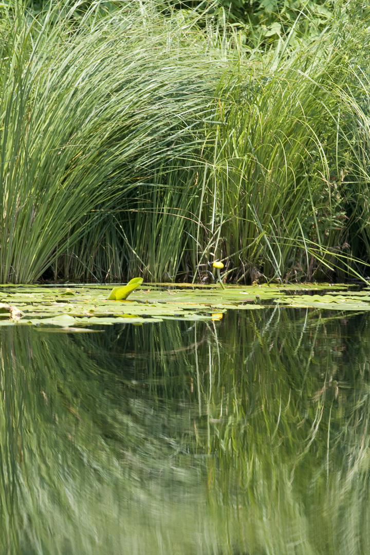 Hlutovo Blato National Park (Bosnia)