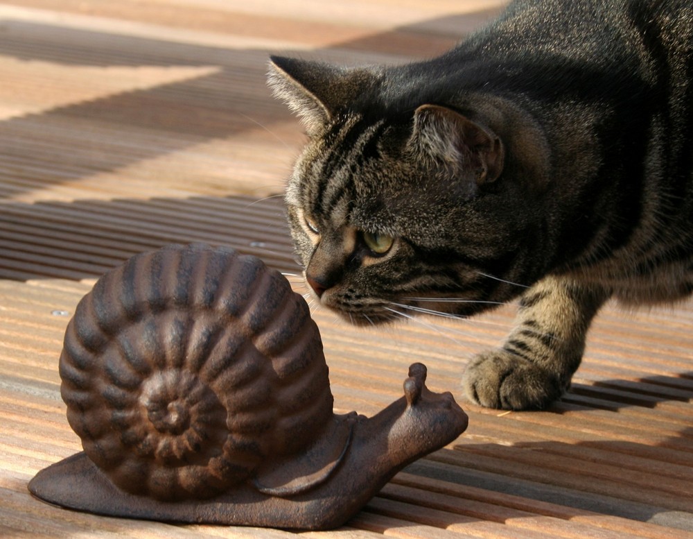 Hm.. ich finde gar keine Rosinen in der Schnecke, komisch!!