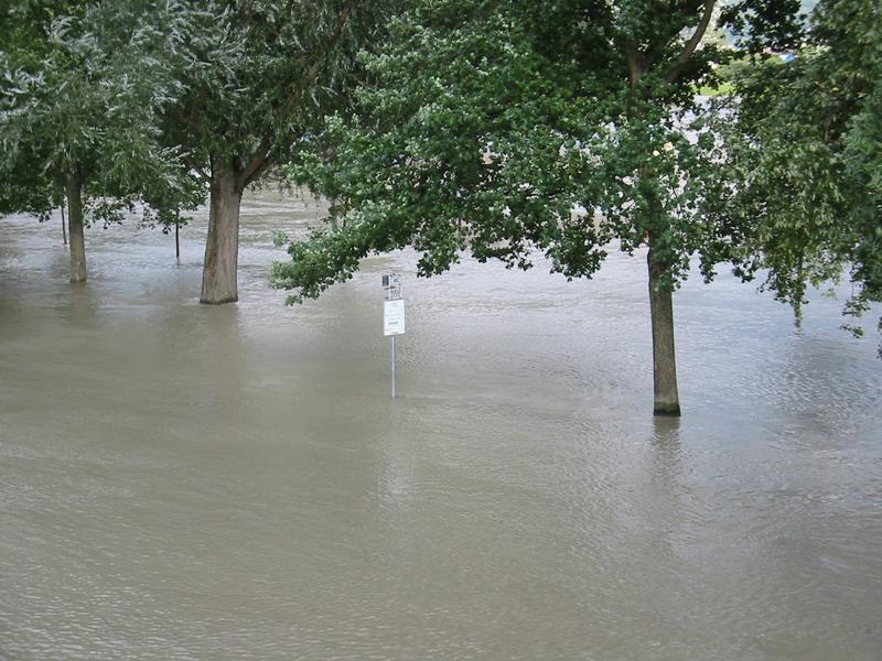 hm, sollen wir heut schwimmen gehn? - hochwasser in linz