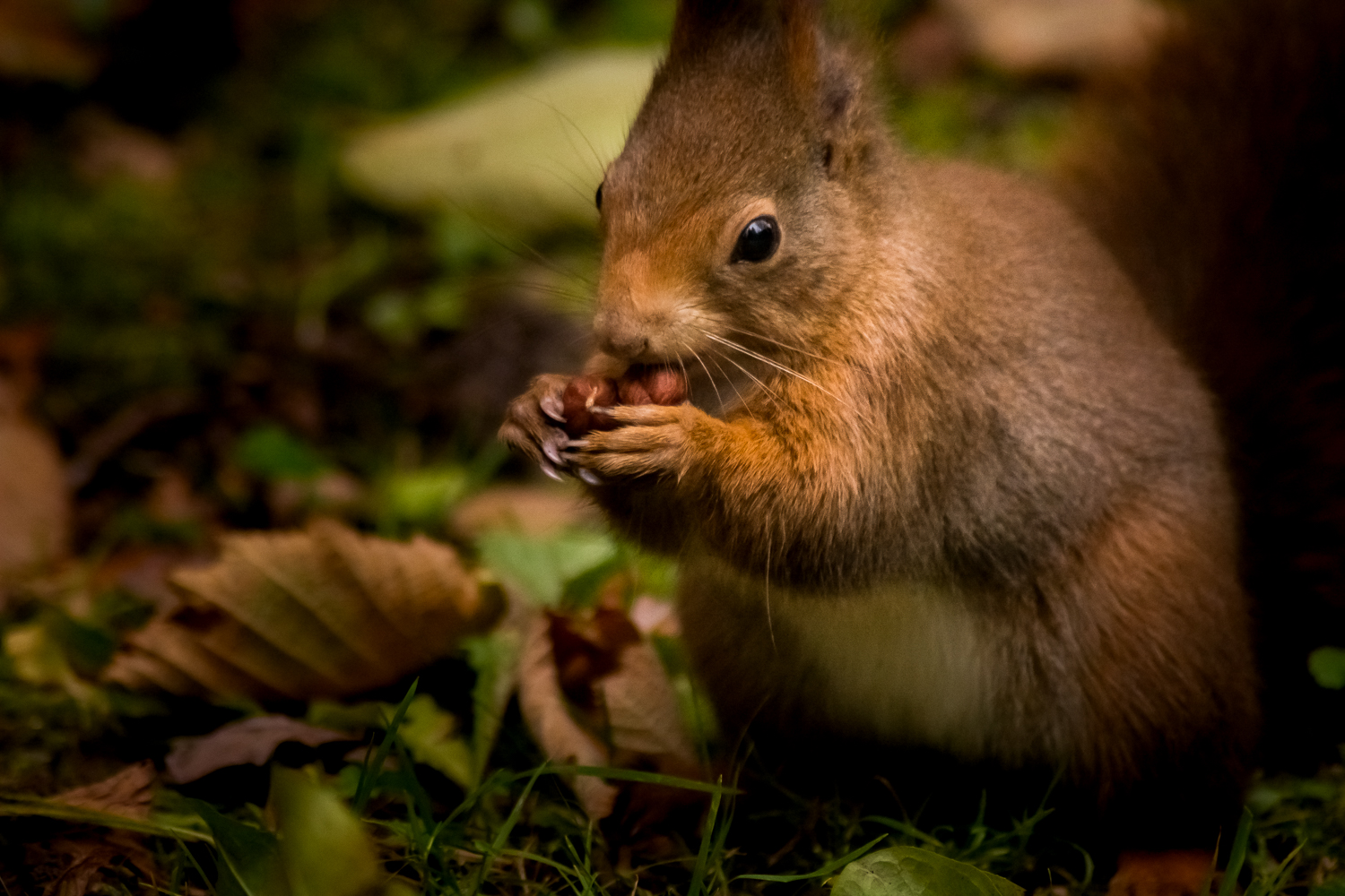 Hmm lecker