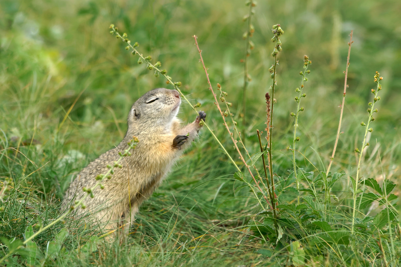 "Hmm, lecker"