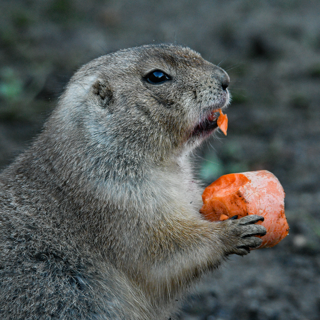 Hmmm, das schmeckt.