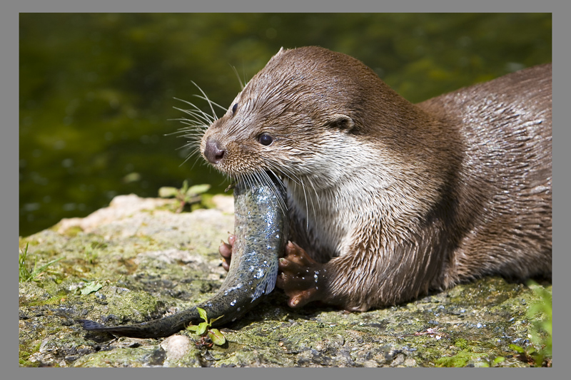 *Hmmm, schmeckt das lecker!*