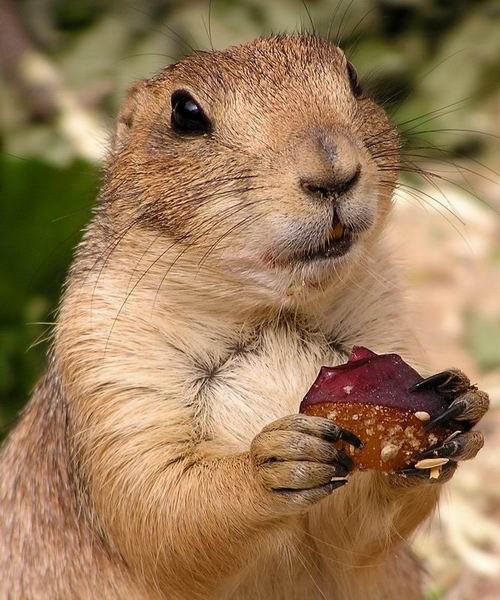 Hmmm...das schmeckt! 2