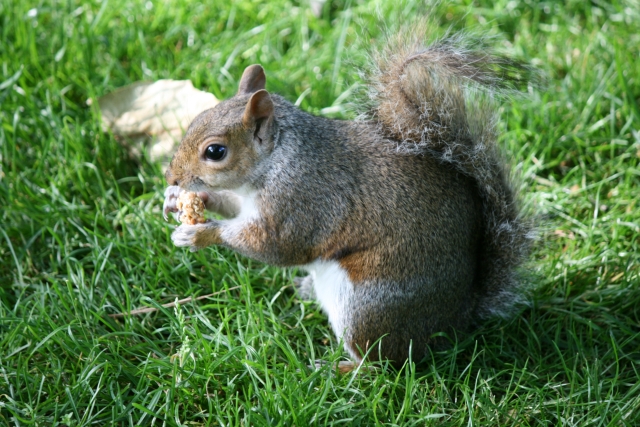 Hmmmh, das schmeckt aber!