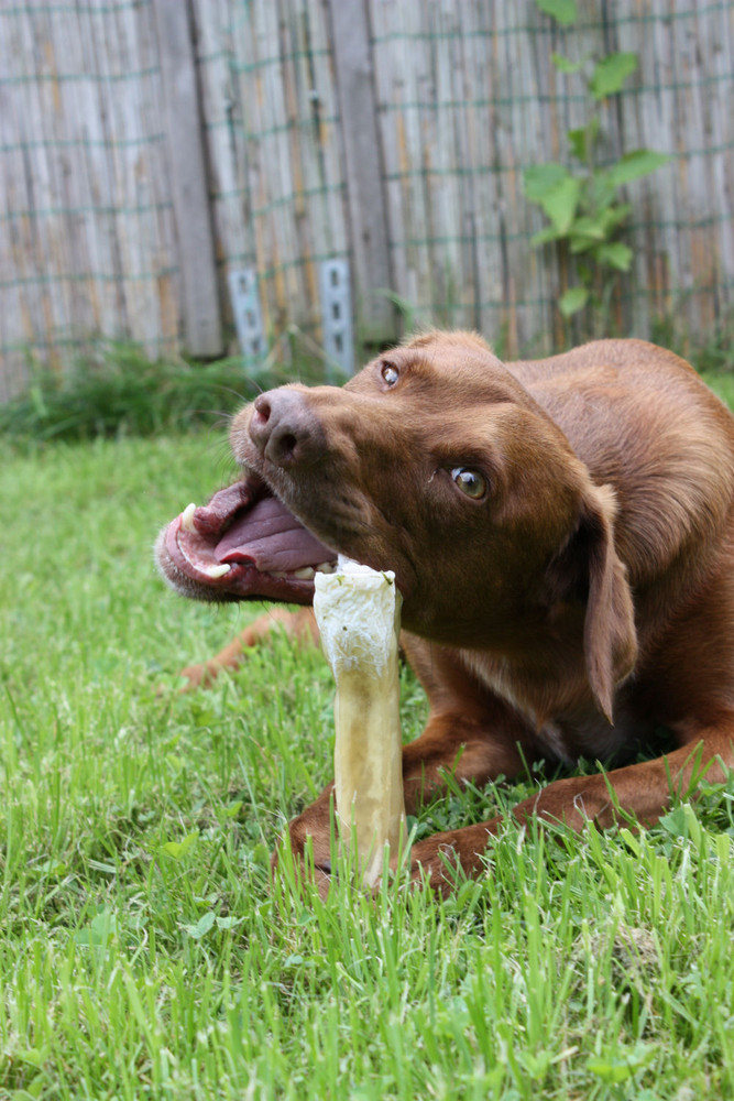 "Hmmm....lecker!"