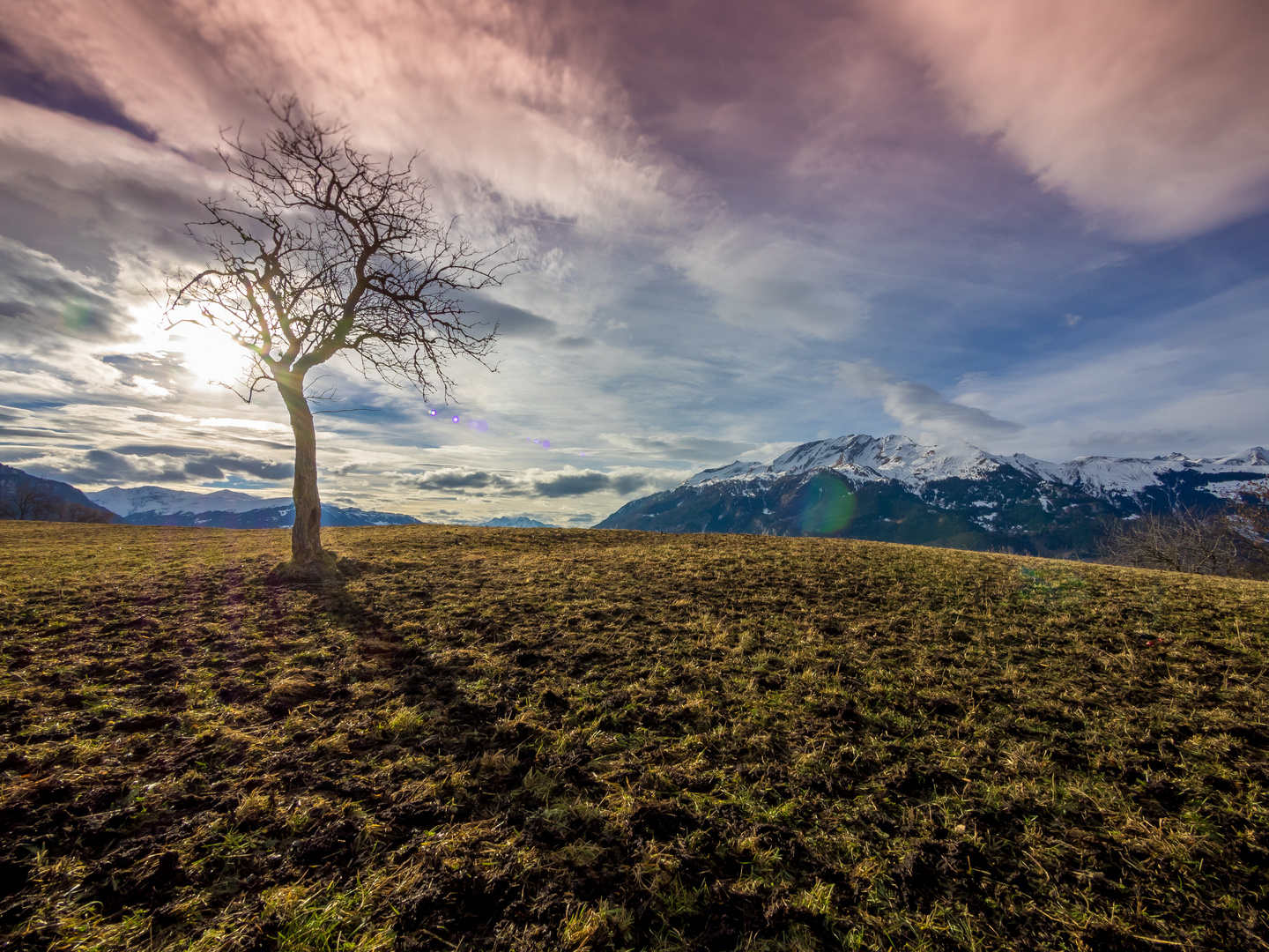 Hmmmm…..ein Baum halt!