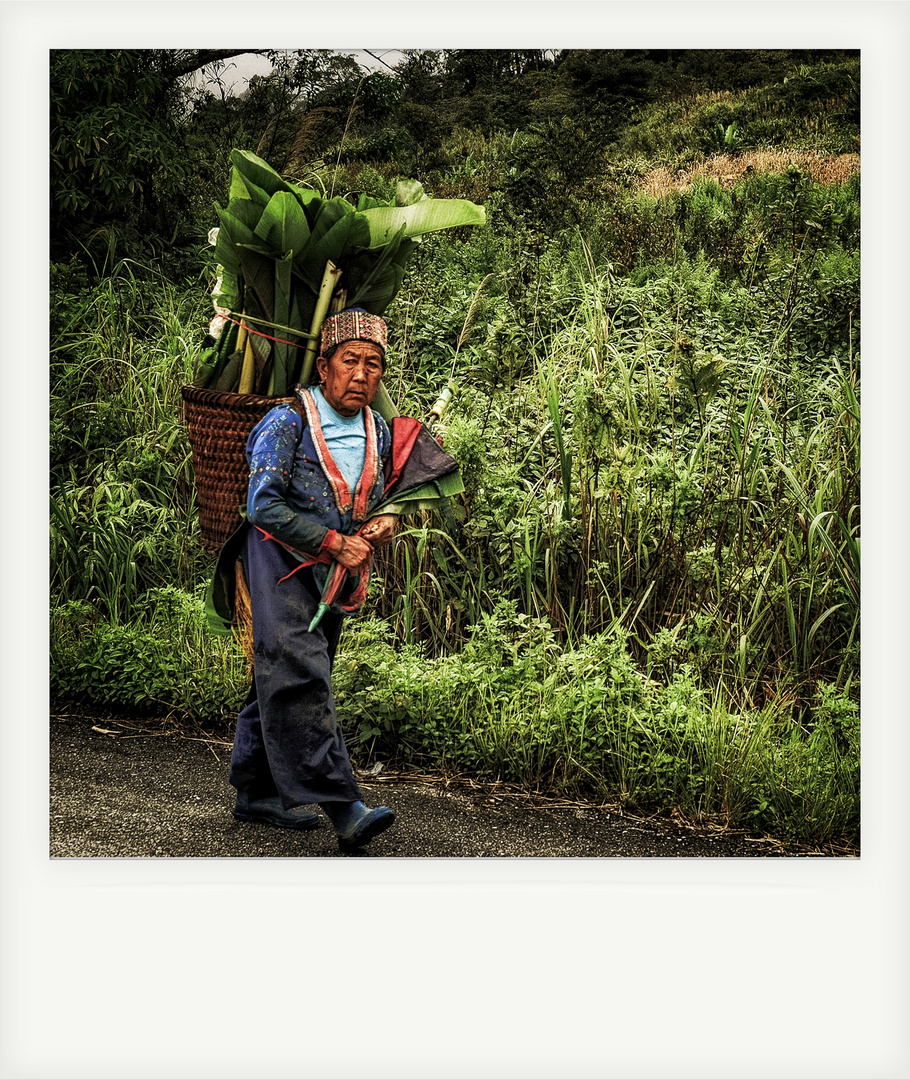 Hmong Bäuerin