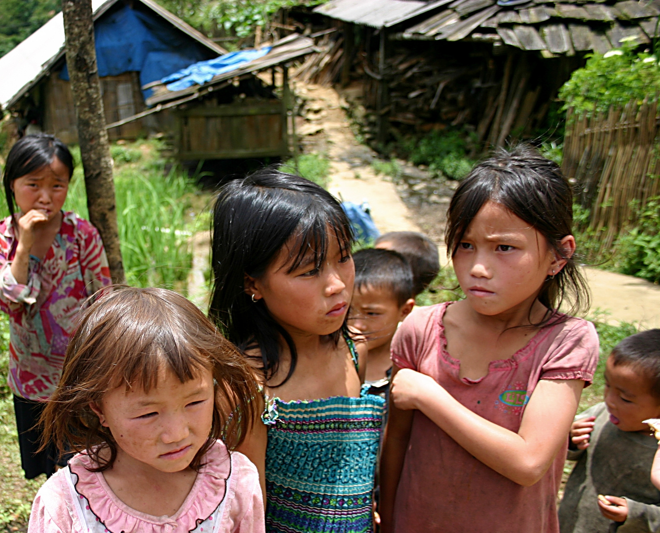 hmong children