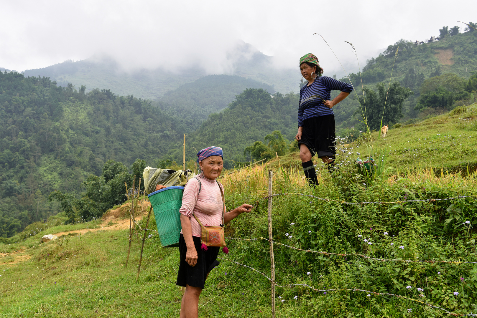 Hmong-Frauen am Wegesrand 02