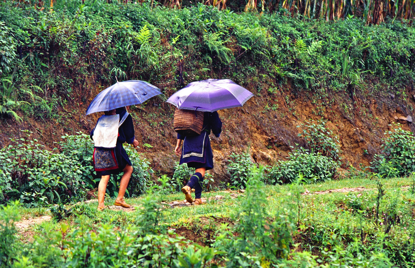 Hmong-Frauen auf dem Heimweg