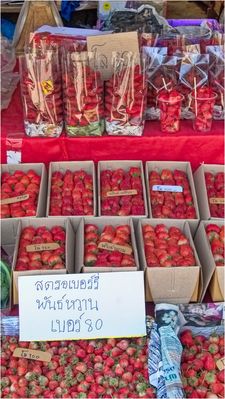 Hmong Market at Doi Inthanon National Park  03