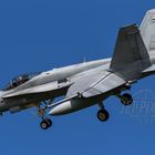 HN-401 Mc Donnell Douglas F-18C Finland Air Force 2016.04.13 (EHLW) Leeuwarden