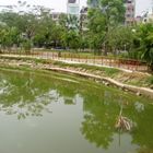 Ho chi minh city park