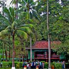 Ho Chi Minh Stilt House