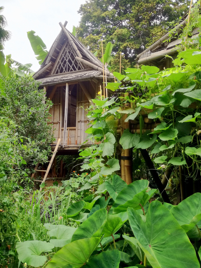 Ho Phi Ban, village laotien dans la Bambouseraie