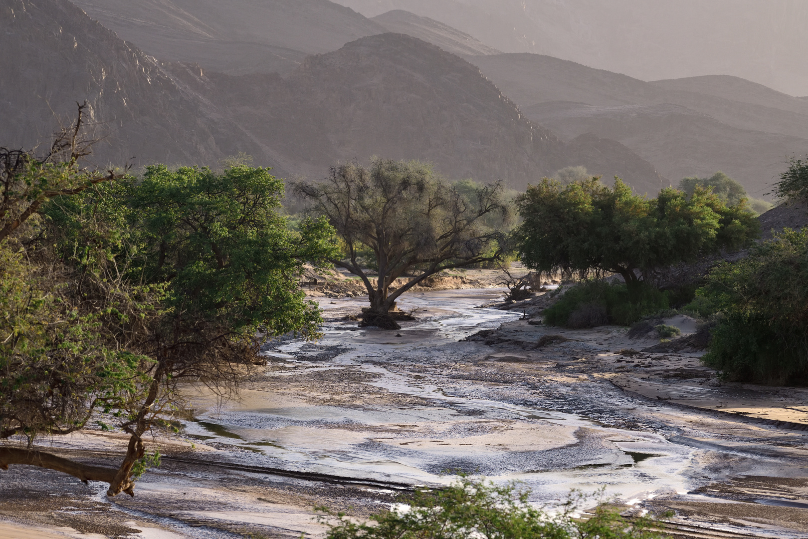 Hoanib River II