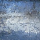 Hoar Frost on the front door window