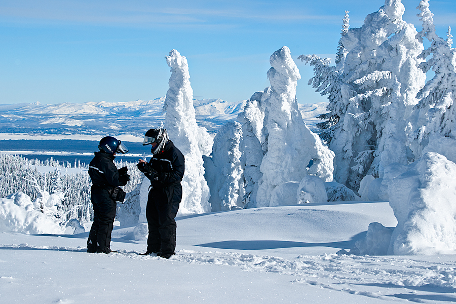 Hoar frost scenery