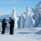 Hoar frost scenery