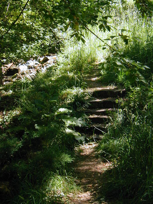 Hobbit Stairs