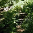 Hobbit Stairs