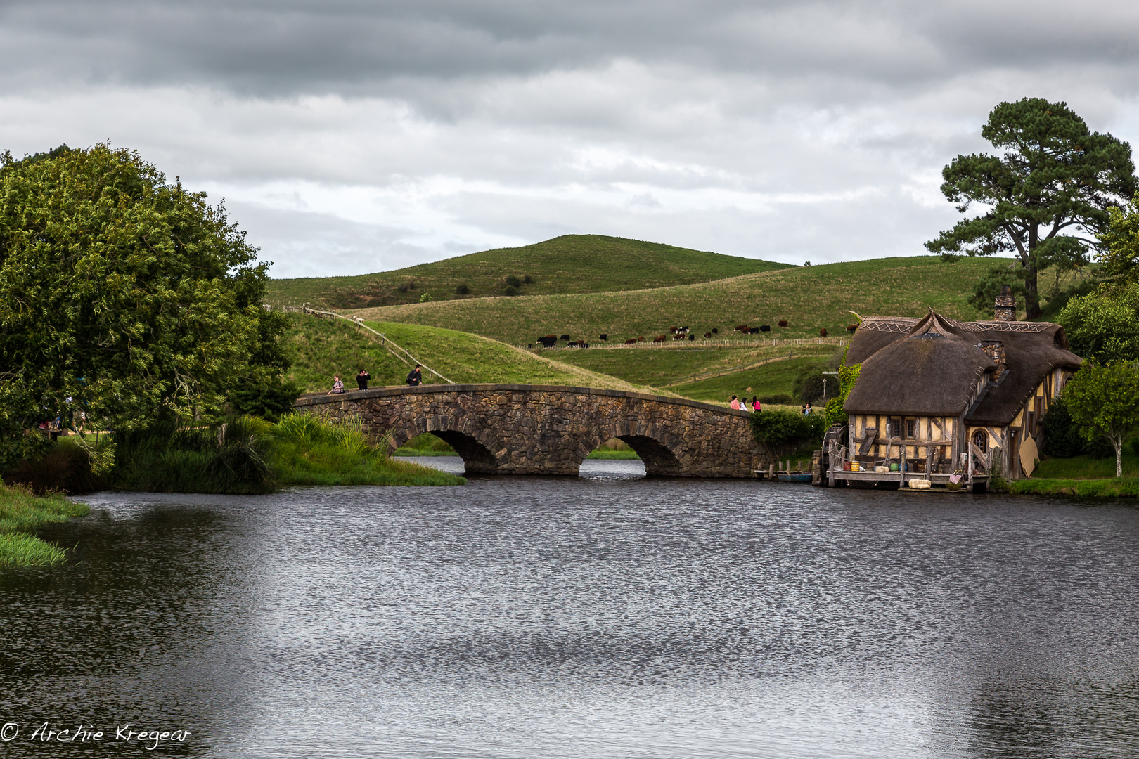 Hobbiton #16