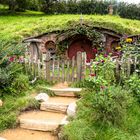 Hobbiton #4