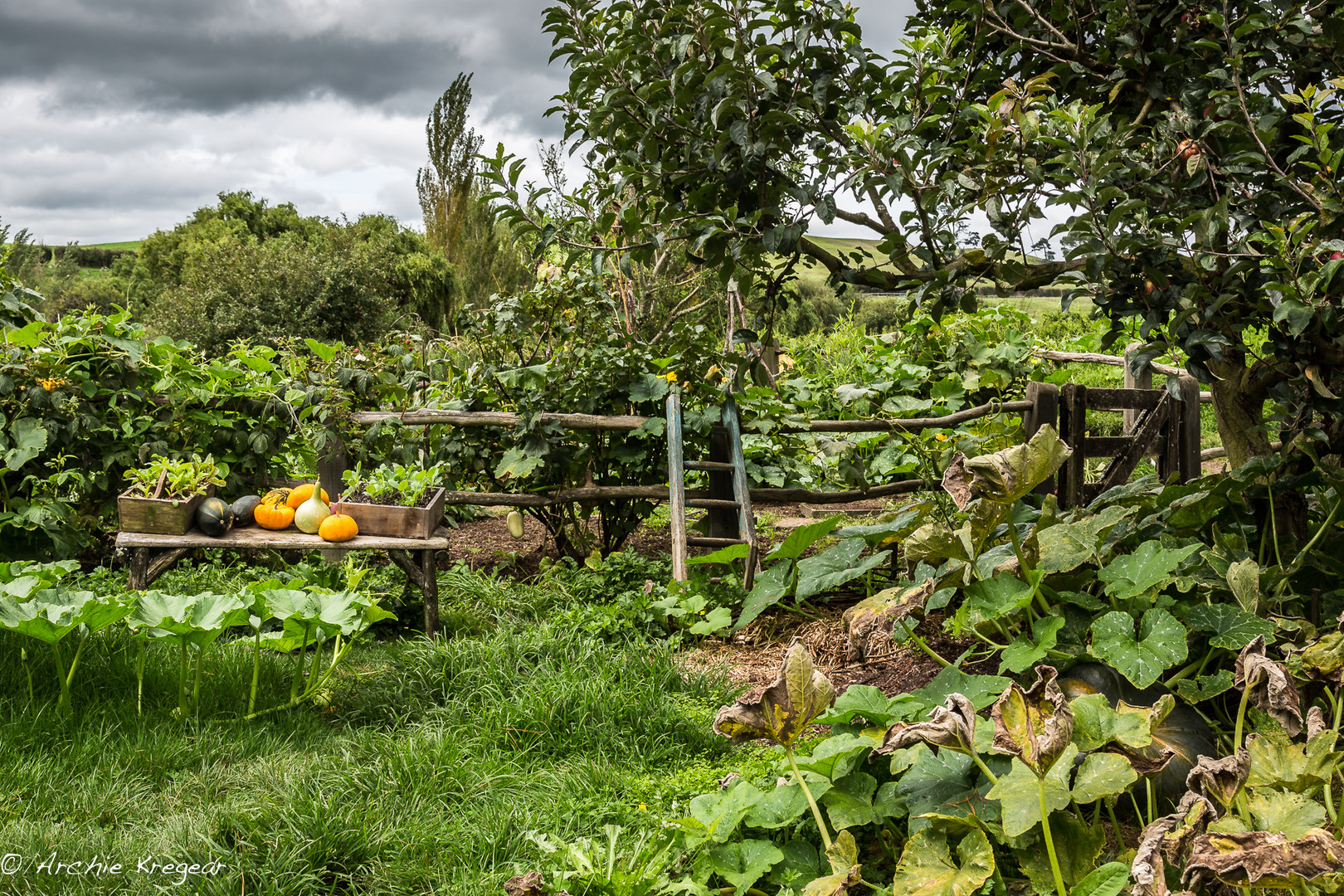 Hobbiton #6