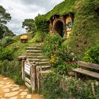 Hobbiton #7