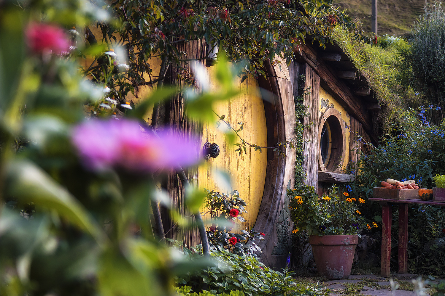 Hobbiton Movie Set