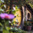 Hobbiton Movie Set