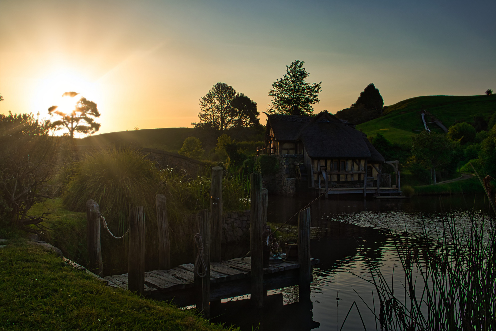 Hobbiton Movie Set - Matamata