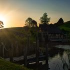 Hobbiton Movie Set - Matamata