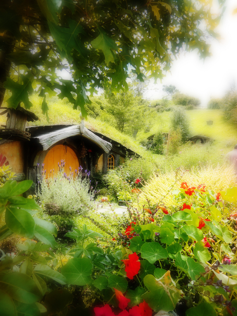 Hobbiton - New Zealand