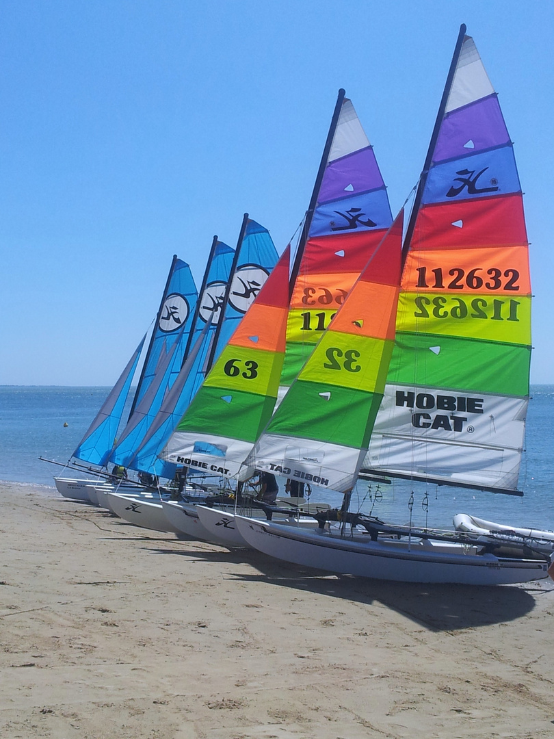 HOBIE CAT