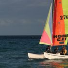 Hobie Cat