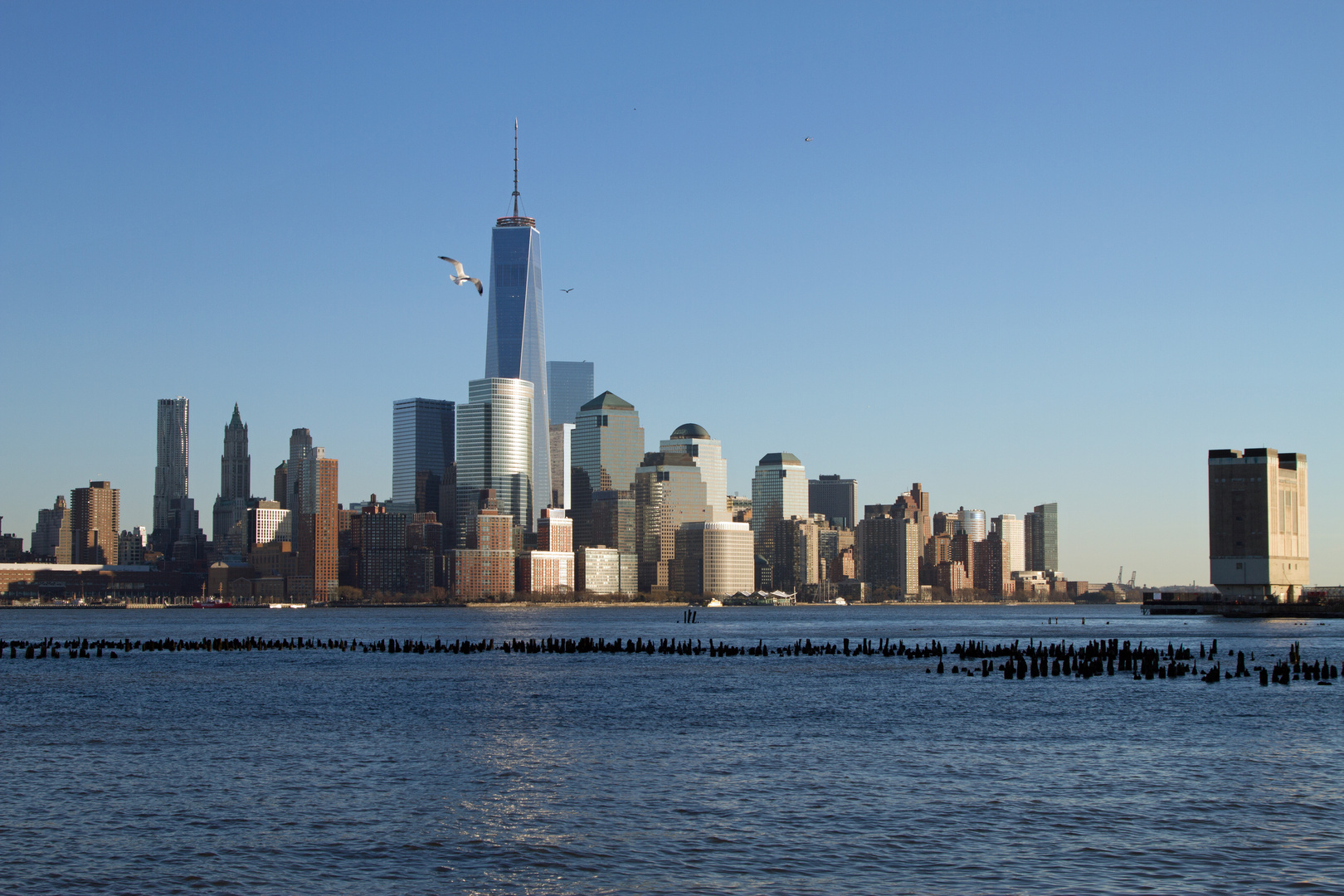 Hoboken 25. Peaceful birds. View across Hudson River to the new World Trade Center.