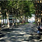 Hoboken Summer No. 1 - A Sun-Dappled Walk in Pier A Park